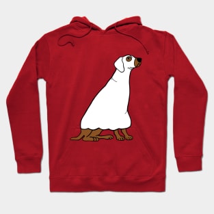 Boo Vizsla Hoodie